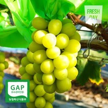 [GAP인증] 안성 달콤 샤인머스켓 망고포도 정품 4kg+4kg, 단품