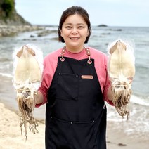 동해 국산 반건조오징어 영덕 피데기 10마리 건오징어, 국산 소자 10마리 (800g), 1개