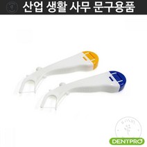 치실 칫솔 구강치실 교정용 이지 보관케이스 포함 홈스케일링 이쑤시개