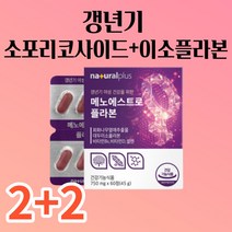 여성 갱년기 대두 이소플라본 파이토젠 식물성 에스트로겐 보조제 케어 회화나무 열매 추출물 소포리코사이드 소포리코시드 분말 가루 정제타입 알약타입 폐경기 건강기능식품, 2+2박스(4개월분)