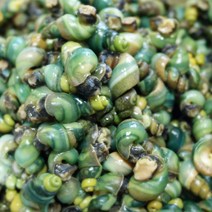 정옥다슬기 지리산 1급수 자연산 깐다슬기 200g, 3팩