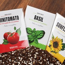 말랑상회_홈가드닝 반려식물 씨앗 모종 10팩_말랑MLS+oreㅋ, 옵션선택＞메리골드