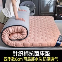 낮은침대 접이식 매트리스없이 고밀도 봄 소프트 쿠션 가정용 코튼 여름 싱글 더블 가족 침대 사계절, 180x200cm, 04 Color-4