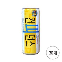 동아오츠카 컨피던스 250mlx30개