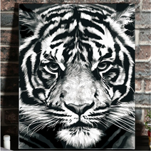 호랑이 색칠 컬러링 DIY 유화 그리기 백호 피포 페인팅 명화 캔버스 흑백 화판 아크릴, 40x50+호랑이+세트