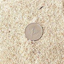 [미미네아쿠아]산호사 1∼2mm 1포, 단일속성