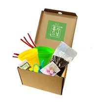 가든아이 홈가드닝키트 홈키트 새싹인형 KIT
