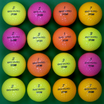 빅야드 DT300 로스트골프공 A-3피스 로스트볼 16구 컬러혼합