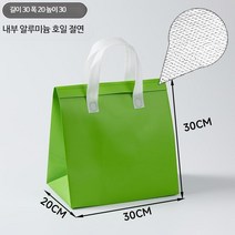 일회용 미니 보냉 업소용 쿨러 가방 백 팩 아이스 박스, 단일사이즈, 그린특대50개입