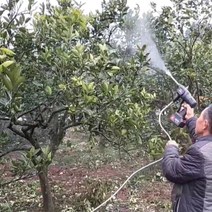 충전분무기 농약 세차 전동 충전식 분무기 살수기 워터건, S클래스_배터리1, 15미터