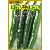 따고또따고 고추씨앗 풋고추 오이고추 씨앗 30알, 1개