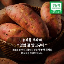 [이벤트특가] 무농약 영암 세척 꿀고구마 3kg 5kg 10kg, [오픈특가]5kg 한입