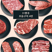 1+등급 한우 모듬구이 한판 4인 (등심/채끝/부채살/업진살/갈비살/살치살), [옵션02] 4인세트 1kg_옵션별 상이