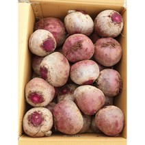 [향기농장] 제주 레드비트 햇비트 겨울비트 최상품 3kg 5kg 10kg, 10kg(최상품)
