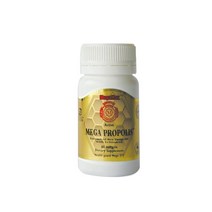 뉴질랜드 메가맥스 메가 프로폴리스 1000mg 60캡슐