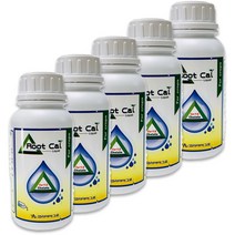 루트칼리퀴드500ml 5병(당일발송) 코리아아그로 정품 루트칼 칼슘비료 관주비료 고추 배추 마늘 양파 대파 칼슘 복합비료 캡마그 모두싹