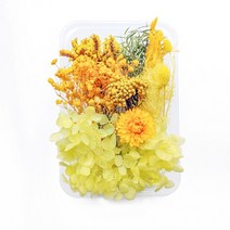 향초만들기DIY 진짜 말린 꽃 핸드폰 케이스 양초 만들기용 수제 공예 에폭시 수지 펜던트 목걸이 쥬얼리, 23 W, 23W