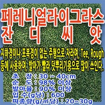 지엘파크 페레니얼라이그라스 잔디씨 1kg -약15평 경사지 법면용, 1개