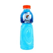 롯데칠성 게토레이 블루, 24개, 600ml