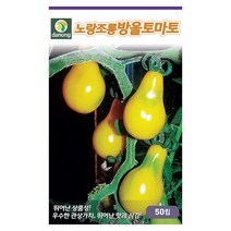 레드문 딸기 100립 - 씨 씨앗 고급 빨간 딸기씨앗 딸기씨 식용 관상용 채소씨 채소씨앗, 12_다농_노랑 조롱방울토마토(50립)