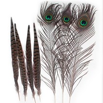 공작 꿩털 천연깃털 거위깃털 컬러 무대 장식소품 인조 천연 거위 깃털, 칼라꿩털-No.03-고유색(2개)