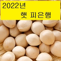 2022년 햇은행 박경철 농장 피은행 (특대/대/중) 1kg, 피은행/중 1KG, 1개