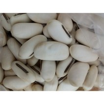 작두콩씨앗 50g/100g/도두콩/국내채종종자, 100g