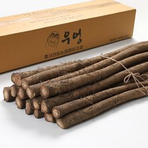 [더조은푸드] [서안동농협] 유명산지 우엉 대품 2kg, 상세 설명 참조