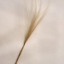 밍블랑 셀프인테리어 디퓨저재료 모음 DIY 디퓨저 공병 섬유스틱 리필오일 디퓨저스틱, 1개, 스티파 1대