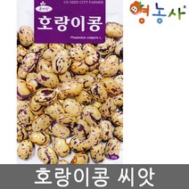 청농 호랑이콩씨앗 30g