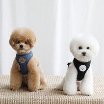[카민프로젝트] 반려동물 베베 하네스 모음주문제작, BLACK/S
