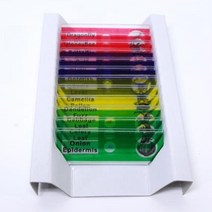 식물 동물 현미경관찰 혼합 프레파라트 12P 세트 곤충 생물수업 과학교구