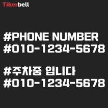 차량용 주차 전화번호 알림 판 전사 스티커 빌라, 옐로우, F타입