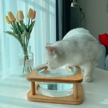 강아지 고양이 수반 음수대 밥그릇 물그릇 정수기 강화 유리 식기 식탁, 대