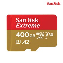 샌디스크 익스트림 메모리카드 마이크로칩 QXA1, 400GB