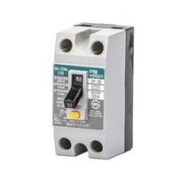 주택용 D형 누전차단기 SG-32Nc 2P 32A, 10개