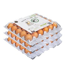 [당일 생산] 닥터안스에그 무항생제 인증 수의사 계란, 대란 90구, 4680g 이상
