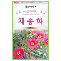 자운영 2g - 야생화 씨앗 꽃씨 씨 꽃씨앗 자운영씨앗 자운영씨 다년생 여러해살이 야생화씨앗 꽃 연화초 홍화채 쇄미제 야화생, 35_다농_채송화(1g)