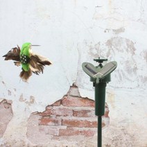 (나라통상) 춤추는 벌새 (15시이전주문까지당일출고)
