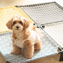 강아지 침대 고양이 해먹 애견 쿠션 방석, 중형M, 옐로우