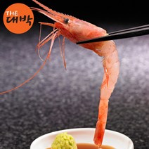 제철 동해 단새우 생물 홍새우 급냉 아마애비 생새우, 1box, 단새우 1kg