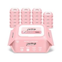 꿈토리 뉴넉넉한 점프 엠보싱 유아물티슈 캡형, 240개, 100매입