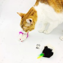 용용펫(허차허차 )깃털왕쥐돌이 3개입/1세트 색상랜덤