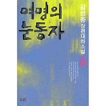 여명의 눈동자 6, 남도, 김성종 저