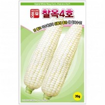 아시아종묘 옥수수씨앗 찰옥4호 (700g)