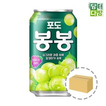 해태음료 포도 봉봉캔박스 340ml 24캔 mx3755, 쿠팡1 1, 쿠팡1 1, 쿠팡1 본상품선택