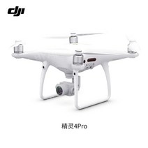 DJI 드론 대여 Mavic 3 전문 항공 사진 AIR2S 항공기 Mavic MINI3 Pro 대여 항공 측량 및 매핑, 14.DJI 팬텀 4 PRO 50개일 [3일