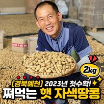 2023 국산 예천 햇 자색땅콩 쪄먹는 풋땅콩 생땅콩 흙땅콩 물땅콩 2kg 햇자색땅콩 2kg