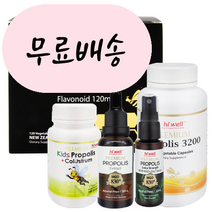 홍박스 [해외]뉴질랜드 하이웰 프로폴리스 액상 원액 뿌리는 키즈 목스프레이 구매대행, 1개
