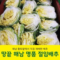 해남 절임배추 20kg 국내산 직접재배 절인배추 대표김장배추 예약발송, 12월 23일(금)출발 24일(토)도착